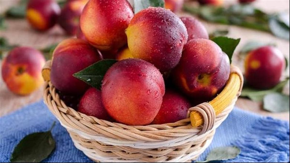 رؤية الخوخ في المنام .. ماذا تعني في تفسيرات ابن سيرين؟