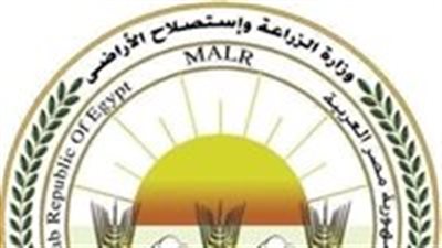 منتدى الأرز الأفريقي ينطلق من القاهرة بمشاركة وزراء وسفراء القارة