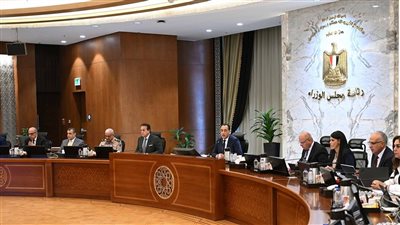 إنشاء جامعة البحر المتوسط بالإسكندرية.. مجلس الوزراء يوافق على 6 قرارات جديدة