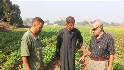 الزراعة.. تنفيذ 468 نشاطا إرشاديا استهدف أكثر من 7000 مزارع خلال أسبوع