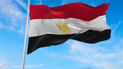 «انتصار جديد للدبلوماسية المصرية».. مصر تفوز بعضوية مجلس حقوق الإنسان التابع للأمم المتحدة للفترة 2026 – 2028