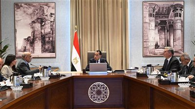 الحكومة: نستهدف الوصول بنسبة مشاركة الطاقات المتجددة في مزيج الطاقة إلى ما يزيد على 42% بحلول عام 2030