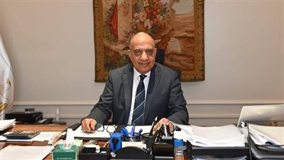 الكهرباء: إتاحة الكهرباء لكافة الاستخدامات في سيناء وتطوير الأداء وتأمين التغذية الكهربائية