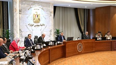 مجلس الوزراء يوافق على انضمام مصر إلى اتفاق تسهيل الاستثمار من أجل التنمية
