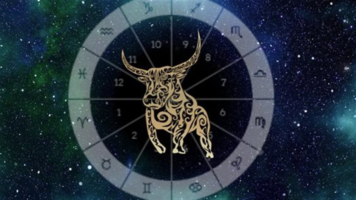 عليك مشاركه الشريك فى خططك