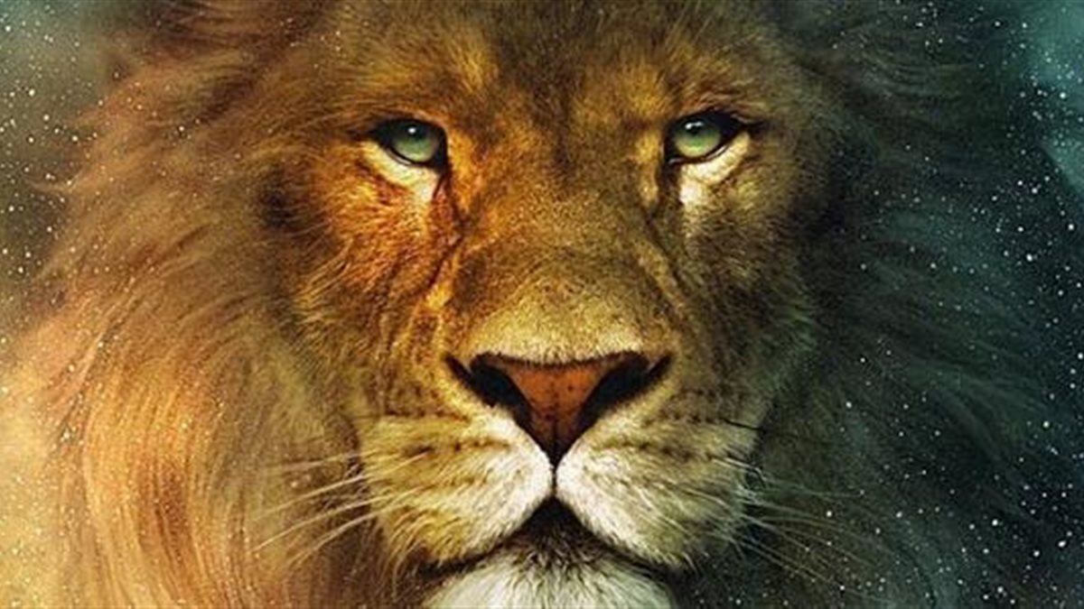 حظك اليوم الأربعاء 5 نوفمبر 2025.. برج الأسد: تحكم في حماسك