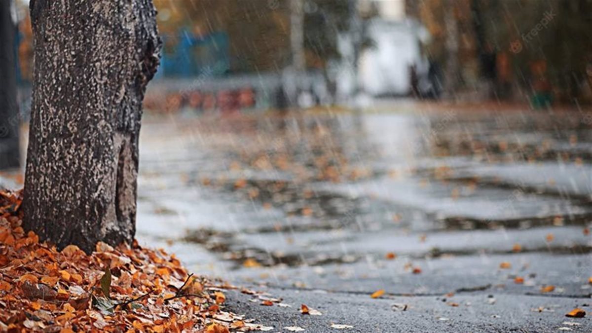 طقس خريفي مائل للبرودة غدا يصاحبه شبورة مائية صباحية