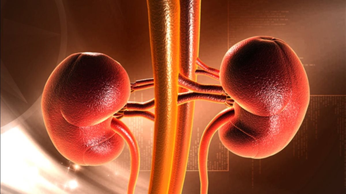 جمال شعبان يوضح أسباب تفشي أمراض الفشل الكلوي