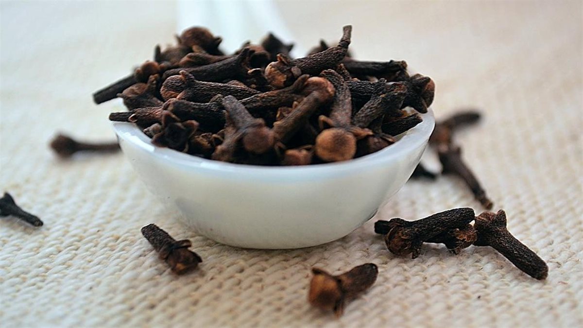 منها تحسين صحة الأمعاء.. إليك 9 فوائد لمضغ القرنفل يوميا