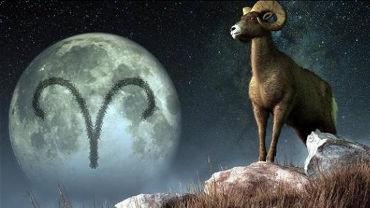 برج الجدي.. حظك اليوم الثلاثاء 25 نوفمبر: شراكة جديدة