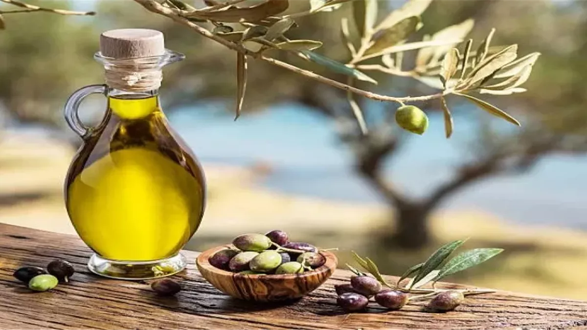 هل زيت الزيتون يقلل خطر الإصابة بأمراض القلب والسكري؟ دراسة تكشف الحقيقة