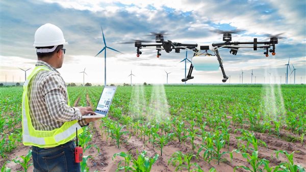 بالتعاون مع إيطاليا.. إنشاء 36 مدرسة متخصصة في الزراعة والتكنولوجيا الزراعية الحديثة