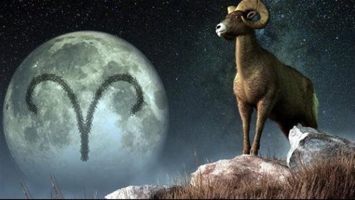 برج الجدي.. حظك اليوم الخميس 27 نوفمبر: فرصة استثمارية