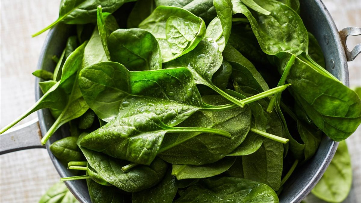 كنز غذائي.. تعرف على الفوائد المذهلة لتناول السبانخ