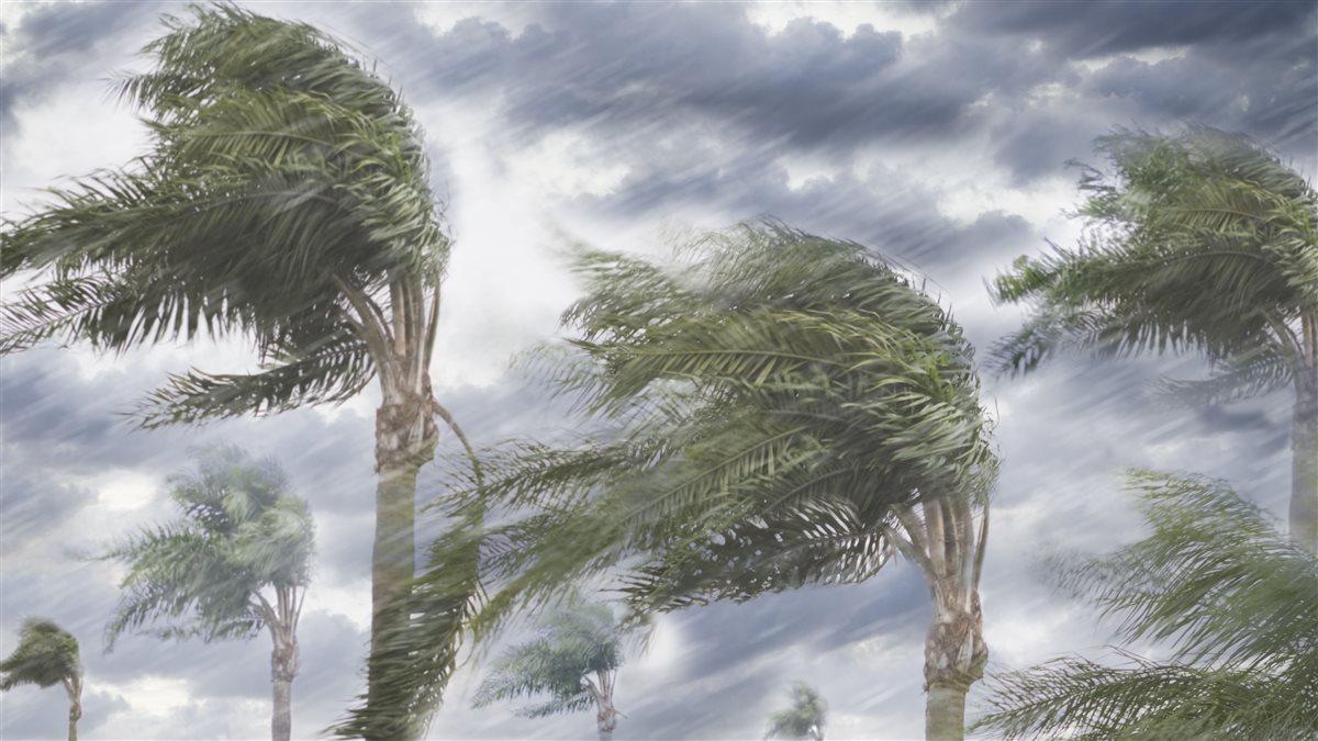 نشاط رياح.. توقعات هيئة الأرصاد الجوية بشأن طقس غدا الإثنين