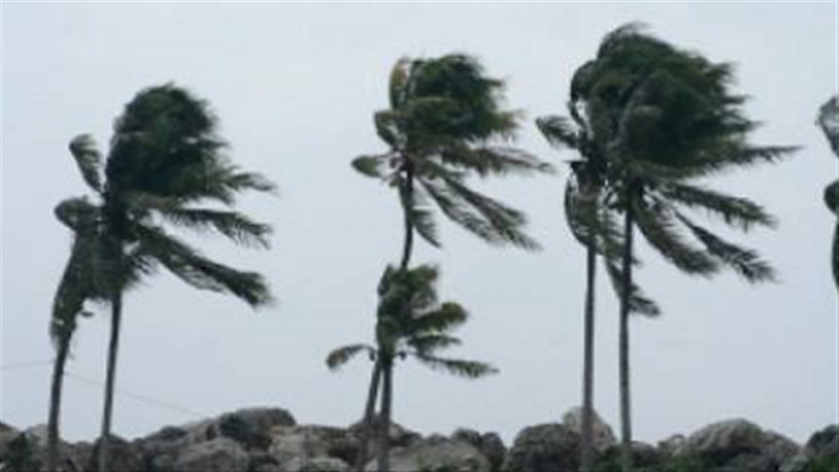 سحب منخفضة ورياح قوية.. الأرصاد تحذر من طقس الأسبوع المقبل