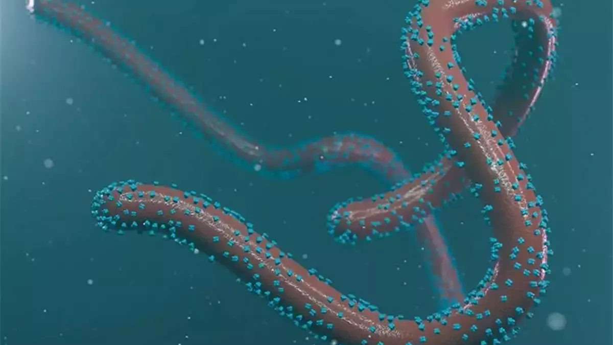 بعد تفشّي فيروس «ماربورغ» في جنوب إثيوبيا.. تعرف علي أعراضه وطرق انتقاله