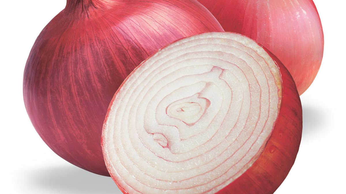 مقاوم للسرطان.. تعرف على فوائد البصل الصحية المذهلة