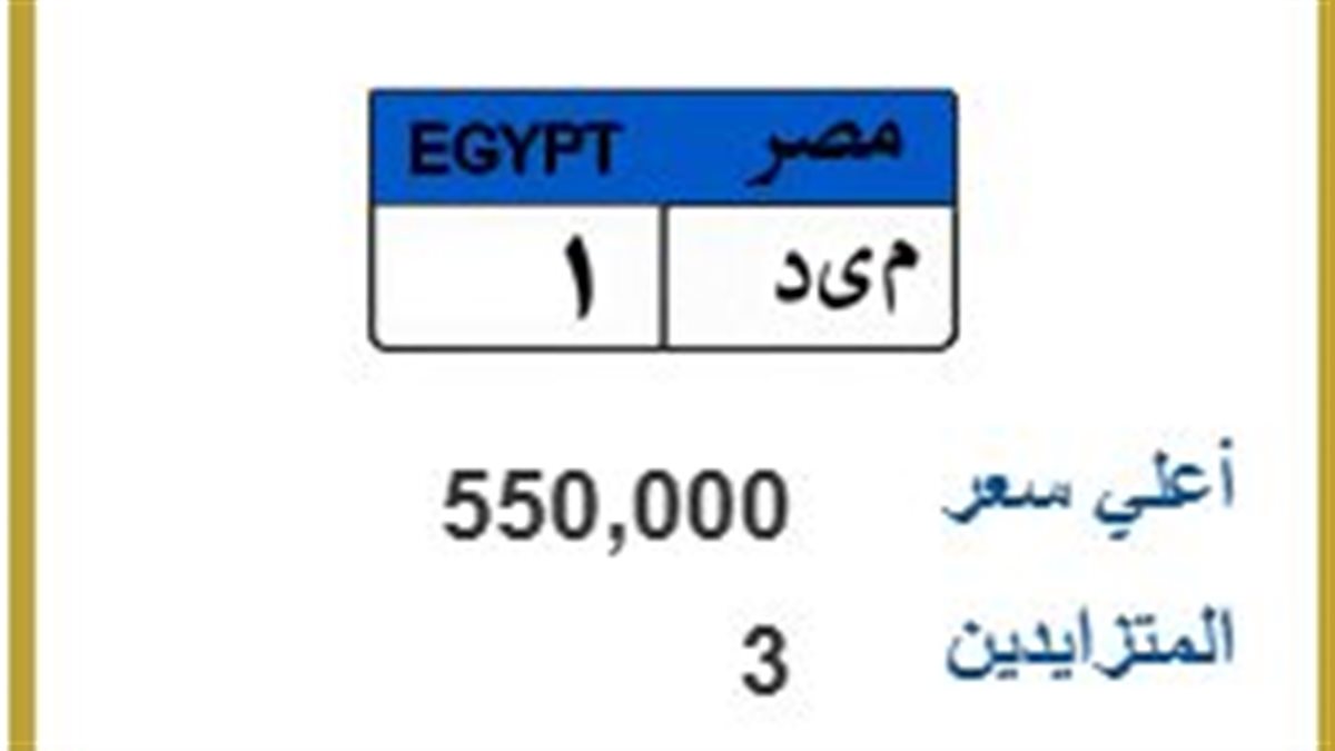 3 متنافسين حتى الآن.. لوحة نادرة بالمرور تصل قيمتها إلى 550 ألف جنيه