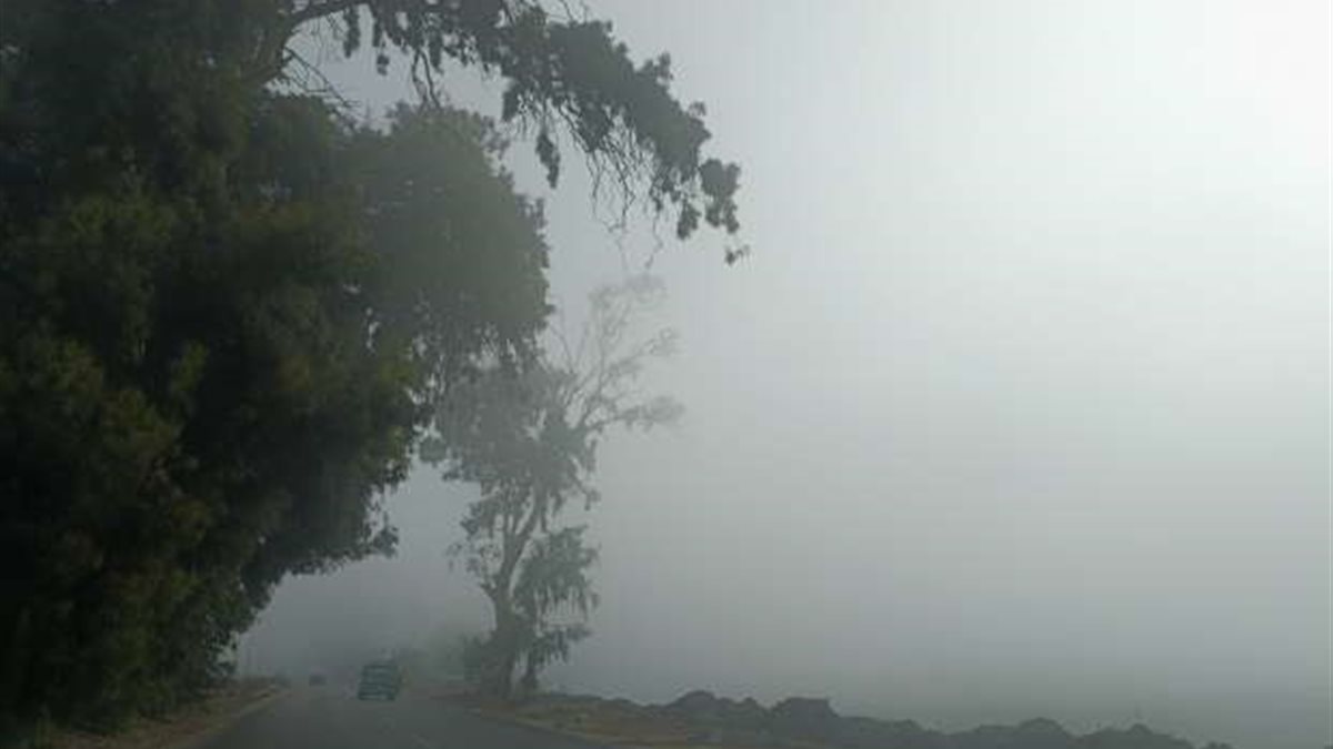 الأرصاد تكشف تفاصيل طقس الـ5 أيام القادمة.. وتحذر من هذه الظواهر الجوية