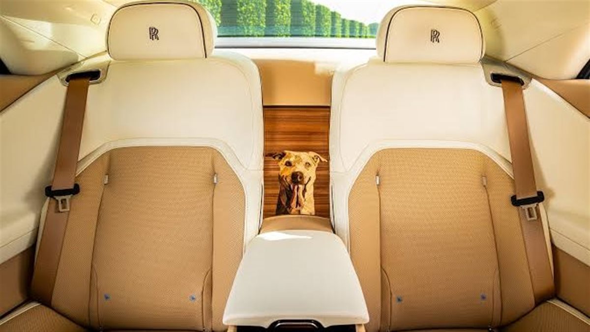 من أجل كلب.. رولز رويس تصنع سيارة فاخرة بملايين الدولارات