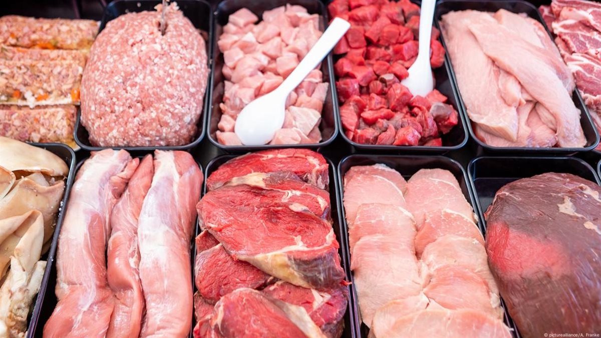 أطعمة طبيعية غنية بالزنك تدعم صحة أمعائك