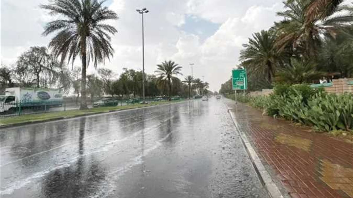 أمطار خفيفة وشبورة كثيفة على بعض المناطق صباح الجمعة