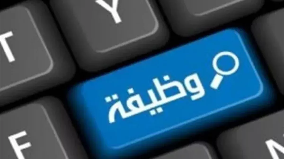 فرص عمل للشباب في هذه المحافظة.. 185 وظيفة برواتب تبدأ من 8 آلاف جنيه