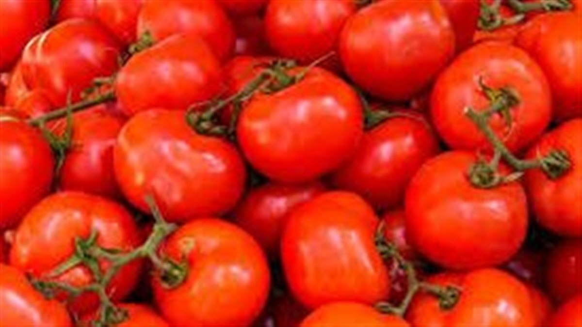منها الطماطم.. كيف تحارب الالتهاب بتناول أطعمة الغذائية؟