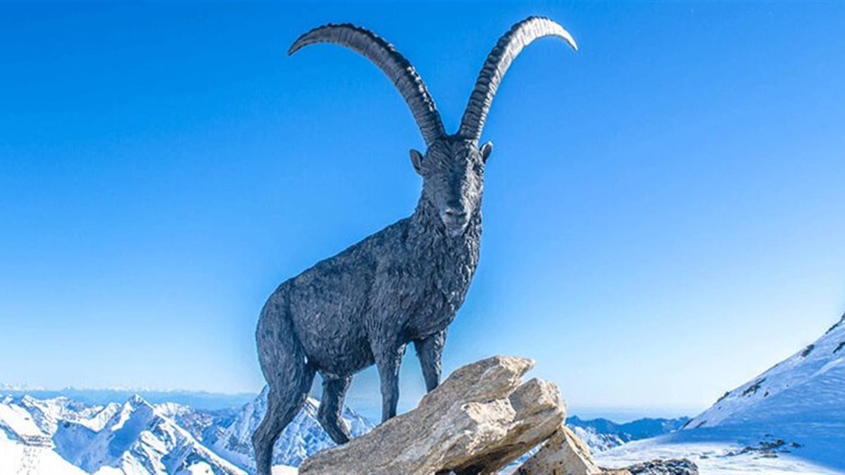 برج الجدي.. حظك اليوم السبت 8 نوفمبر 2025: تحتاج للهدوء وضبط الأعصاب