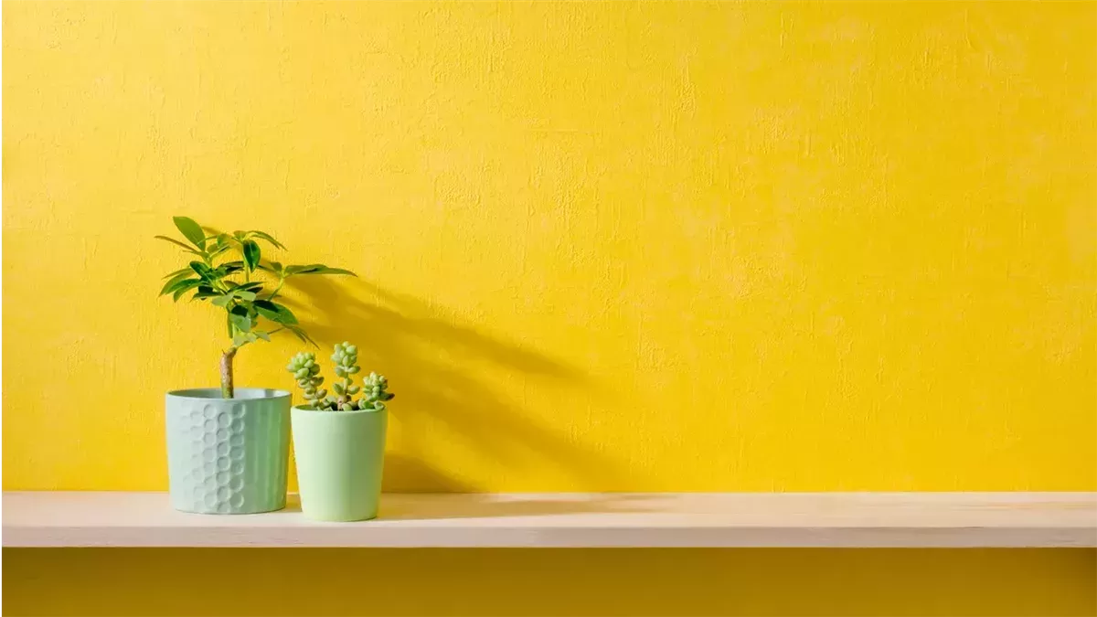 مرض أم رزق؟.. ماذا تشير رؤية اللون الأصفر لابن سيرين