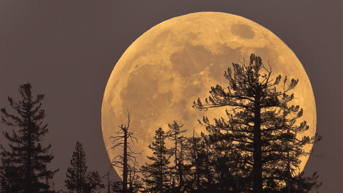موعد ظهور القمر العملاق في مصر وأقرب نقطة لرؤيته.. تفاصيل