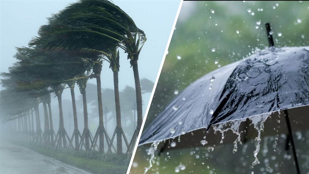 تقلبات جوية وأمطار.. ما توقعات الأرصاد بشأن الطقس من الجمعة إلى الثلاثاء؟