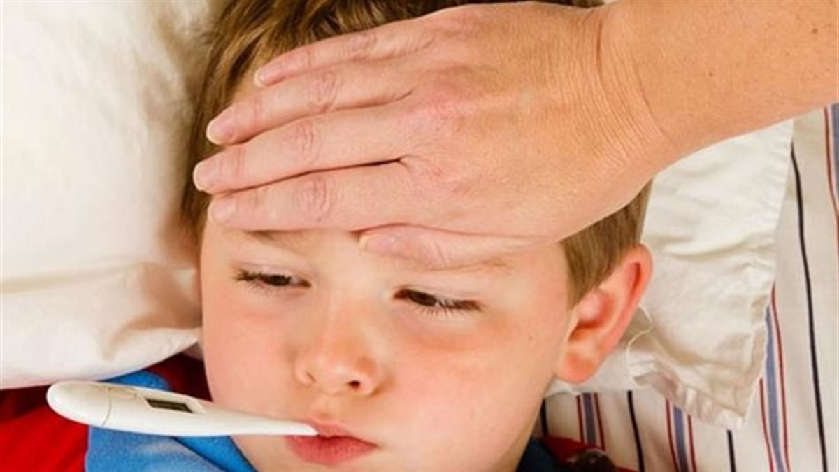 أطعمة تقوي المناعة..كيف يساعد الغذاء الجسم على مواجهة الإنفلونزا؟