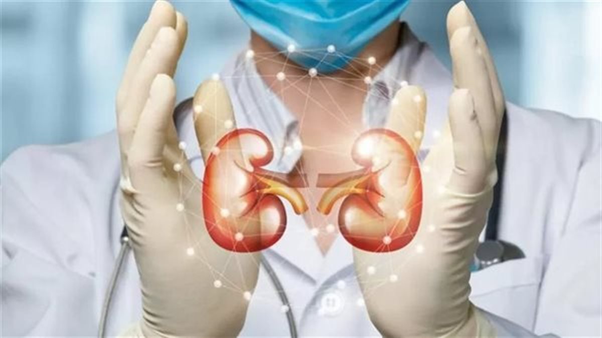 3 أخطاء يومية تهدد وظائف الكليتين وتسبب فشلاً كلويًا قبل سن الأربعين