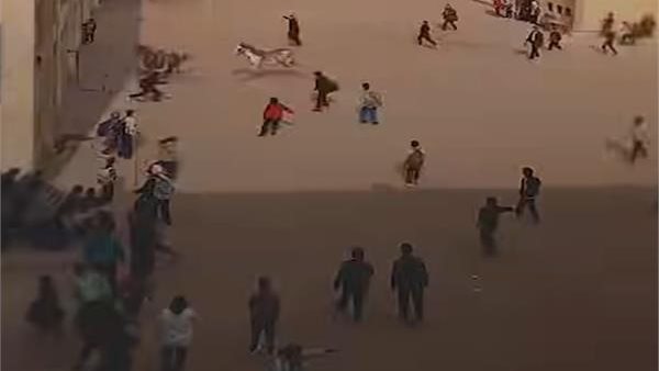 فيديو متداول لخيول تقتحم مدرسة في الجيزة.. وتحرك أمني عاجل