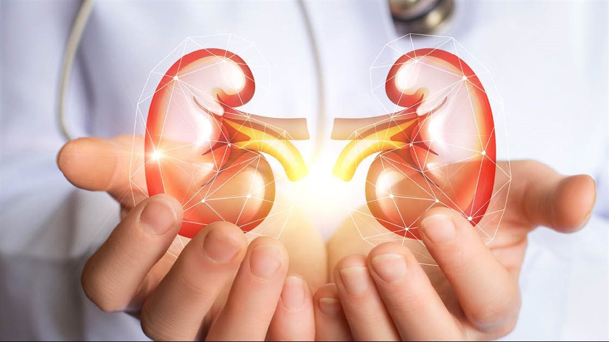 الصحة تحذر: عادة يومية بسيطة تحمي كليتيك وأخرى شائعة قد تدمرهما