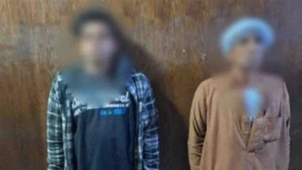 خيول تثير الجدل داخل مدرسة ببولاق الدكرور.. والأمن يكشف التفاصيل