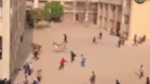 تفاصيل ضبط مالكي خيول اقتحمت فناء مدرسة بالجيزة وأصابت مدير وعامل