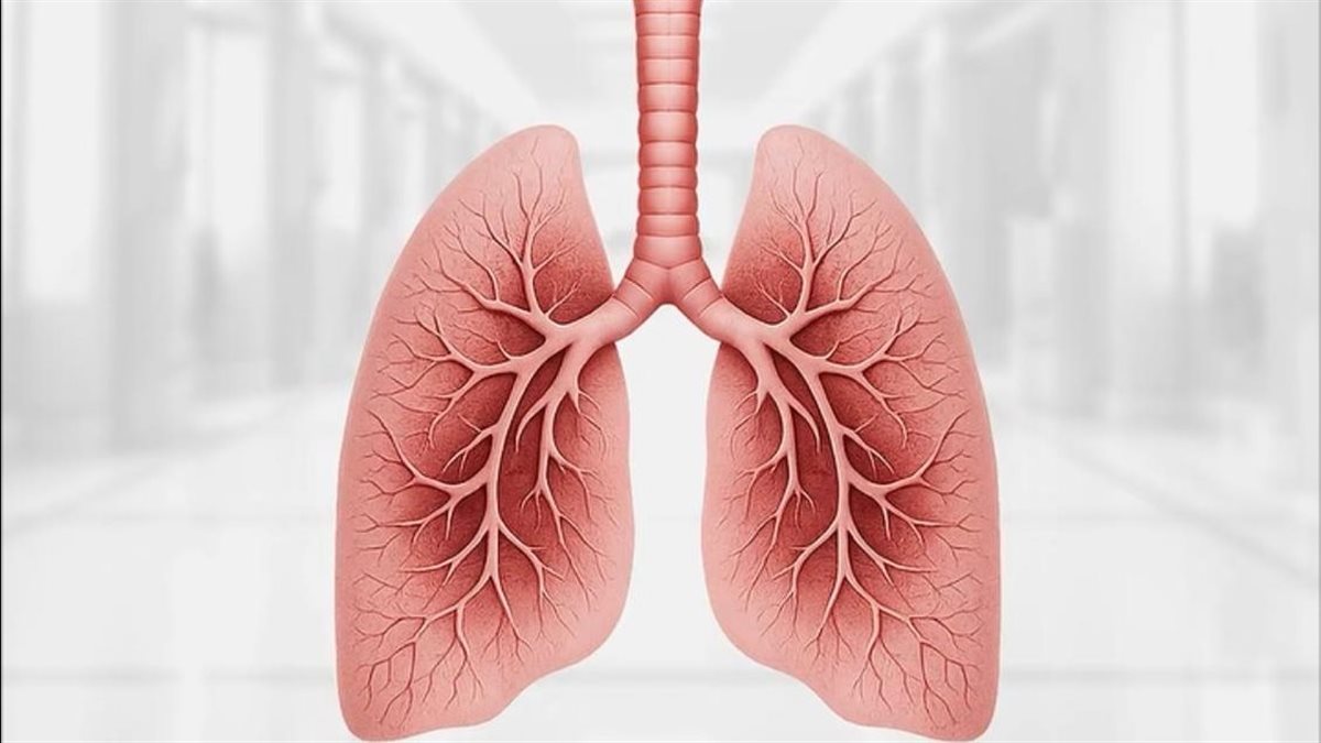 مبادرة وطنية لتشجيع الإقلاع عن التدخين وفحص الرئة المبكر للكبار في مصر