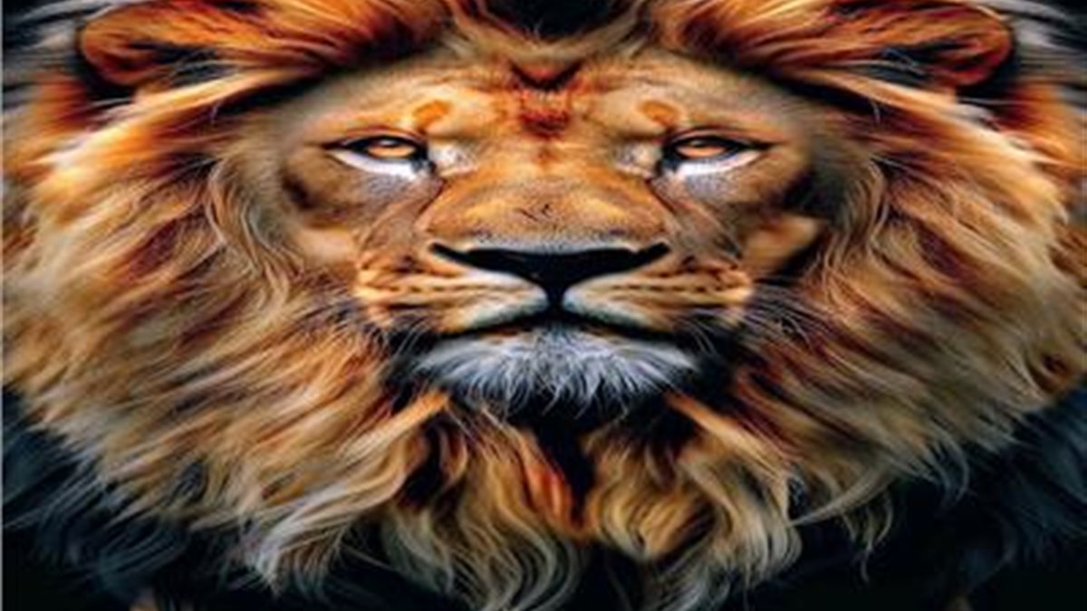 برج الأسد.. حظك اليوم السبت 6 ديسمبر 2025: حماسة زائدة