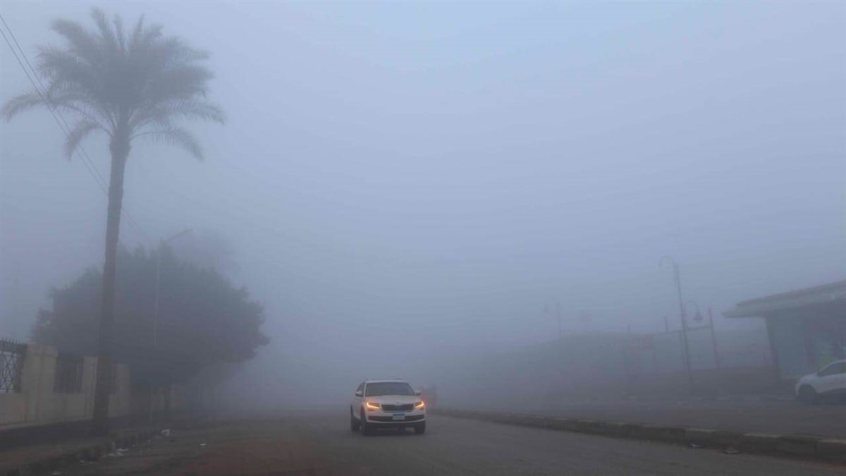 تحذير من شبورة مائية.. ما توقعات الأرصاد لحالة الطقس من الثلاثاء للجمعة؟