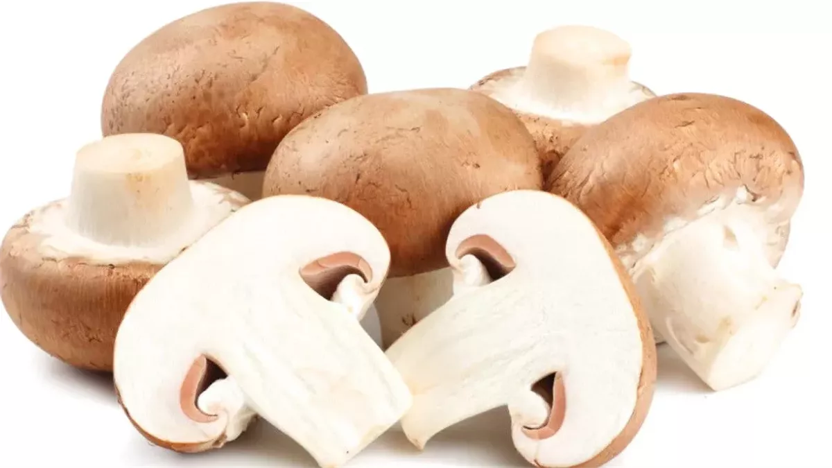أشهرها محاربة السرطان .. 3 فوائد لتناول المشروم ” تعرف عليها “