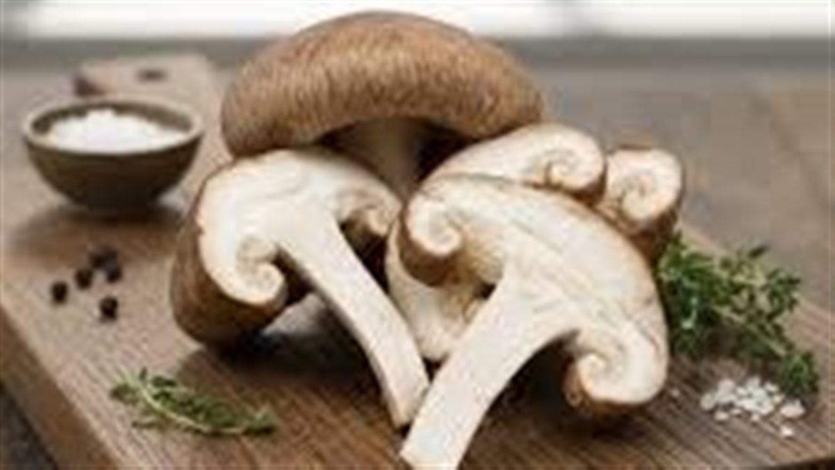 فوائد صحية مذهلة لتناول فطر شيتاكي.. تعرف عليها