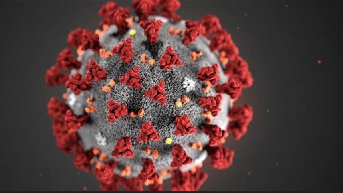 هل نعود لأيام الإغلاق؟.. المصل واللقاح تكشف حقيقة الأوضاع الحالية