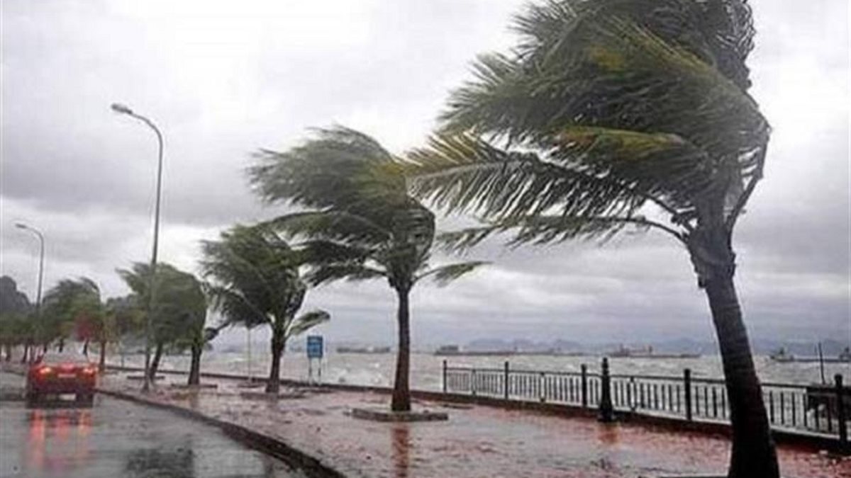 شبورة ورياح.. الأرصاد تحذر من طقس الأحد إلى الخميس