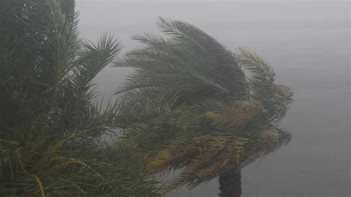 الأرصاد تحذر من 4 ظواهر جوية في طقس الغد.. ماذا عن الأجواء؟