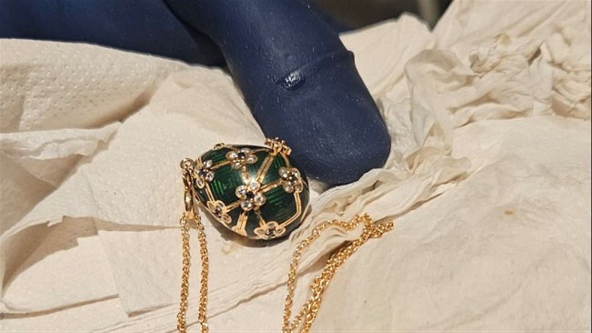 الشرطة النيوزيلندية تستعيد قلادة الأخطبوط المرصعة بالجواهر من أحشاء رجل