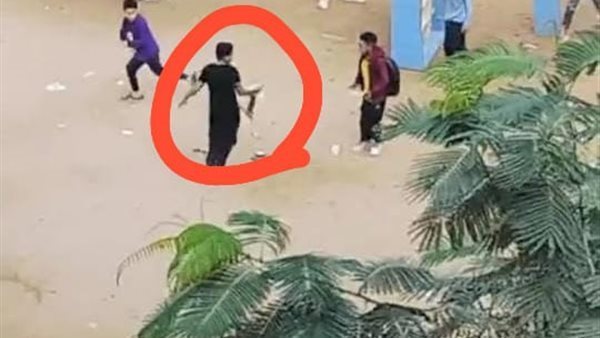 فصل 4 طلاب ومجازاة مدير مجمع مدارس شهداء الحرية.. والسبب «قطة ميتة»