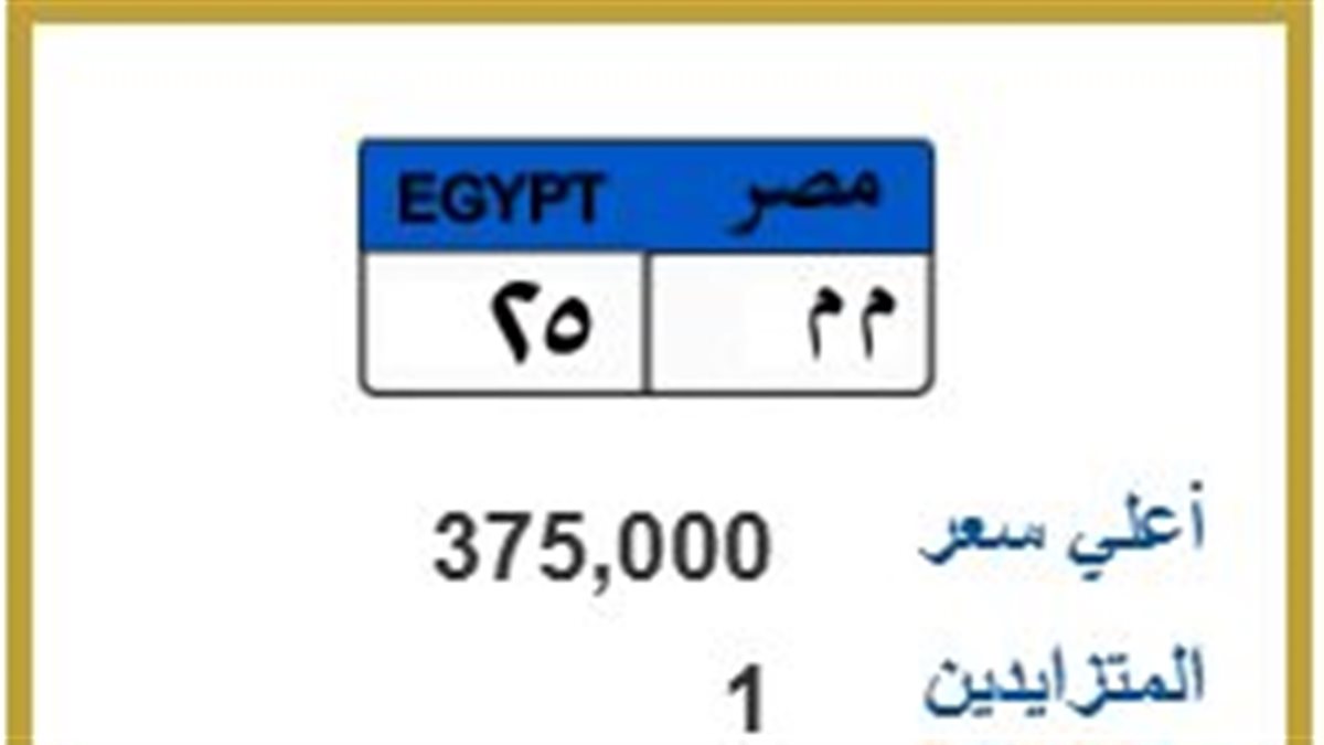 قبل غلق المزاد.. 375 ألف جنيه ثمن لوحة «م م 25»